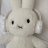 SnowFlintRising29_